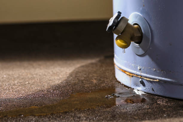 Best Water damage contractors near me  in Bouse, AZ