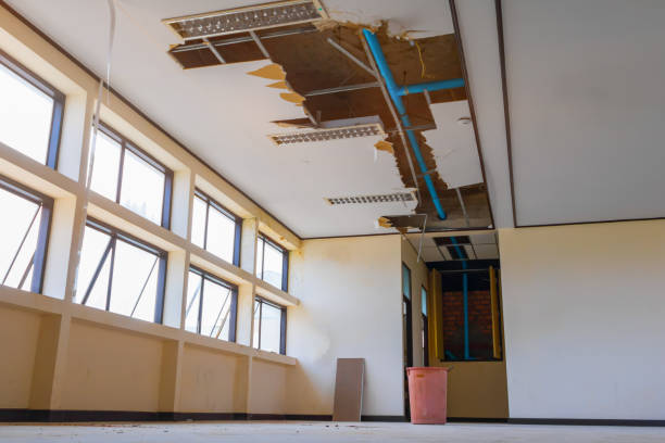 Best 24/7 water damage repair  in Bouse, AZ