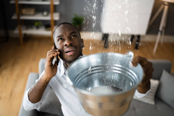Best Water damage restoration near me  in Bouse, AZ