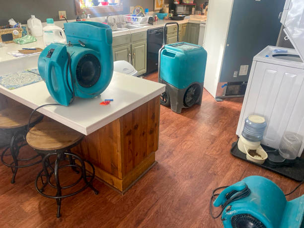 Best Commercial water damage restoration  in Bouse, AZ