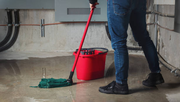 Best Flooded house restoration  in Bouse, AZ