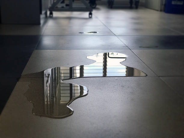 Best Commercial water damage restoration  in Bouse, AZ