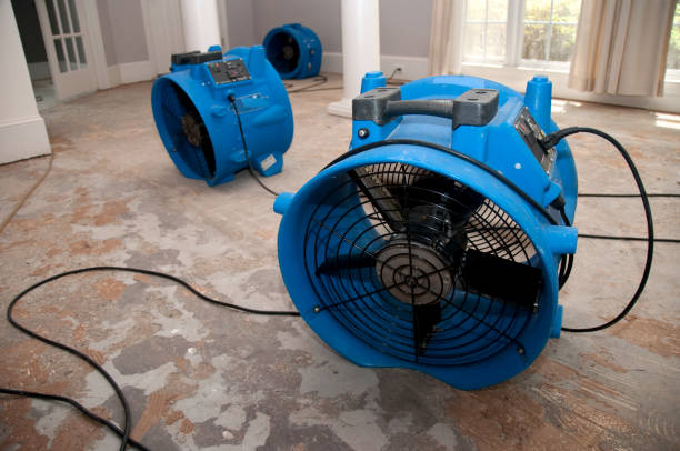 Best Professional water damage repair  in Bouse, AZ
