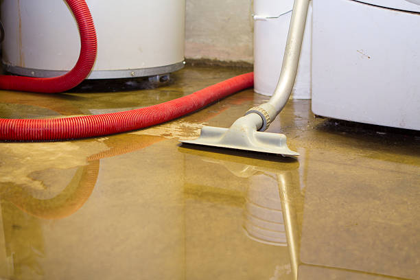 Best Ceiling water damage repair  in Bouse, AZ