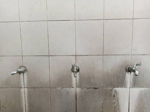 Best Emergency water damage restoration  in Bouse, AZ