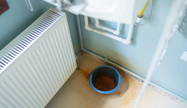 Best Flood damage cleanup  in Bouse, AZ