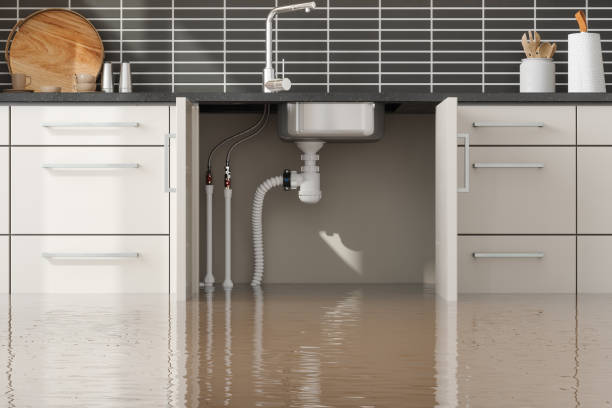 Best Basement water damage restoration  in Bouse, AZ
