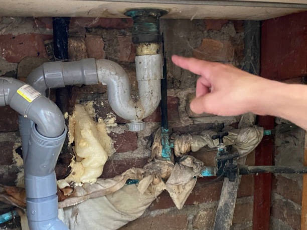 Best Water damage mitigation services  in Bouse, AZ