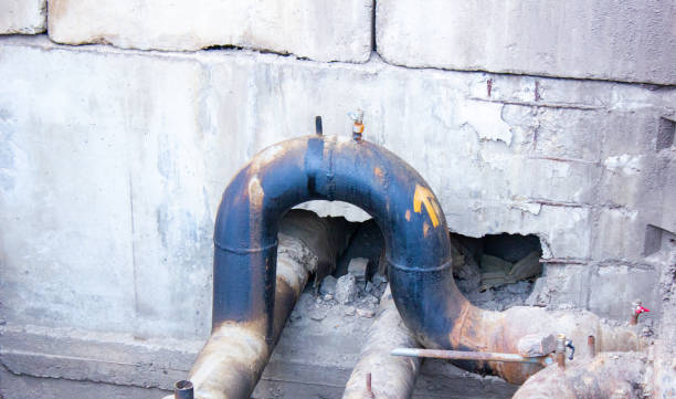 Best Flood restoration services  in Bouse, AZ