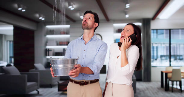 Best Local water damage restoration  in Bouse, AZ
